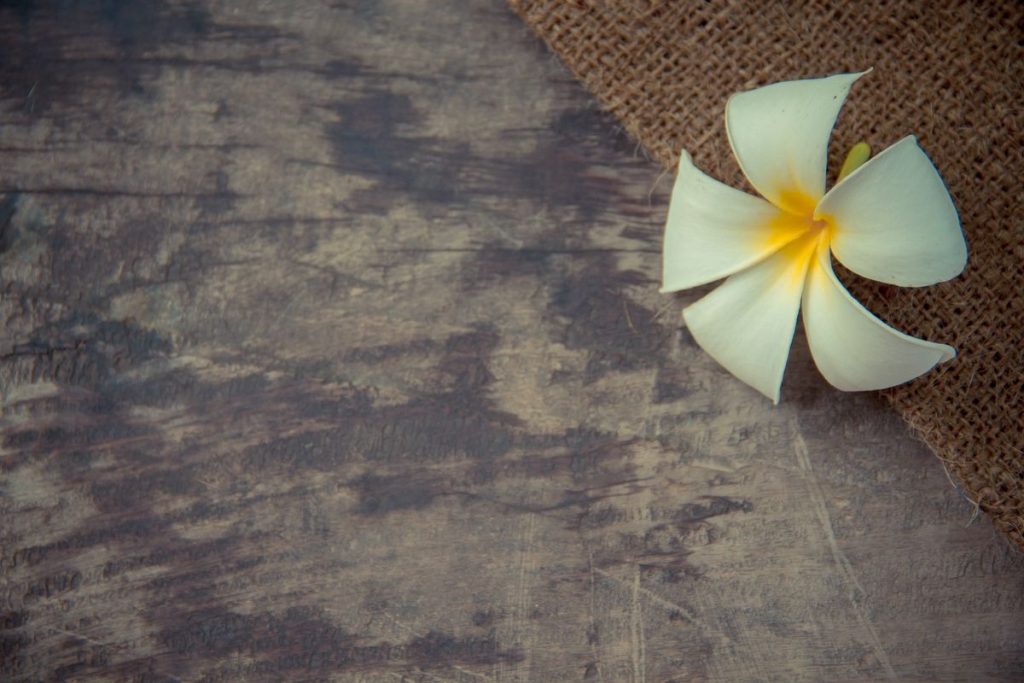 A white flower sitting on top of a wooden table.