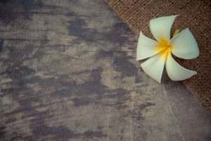 A white flower sitting on top of a wooden table.